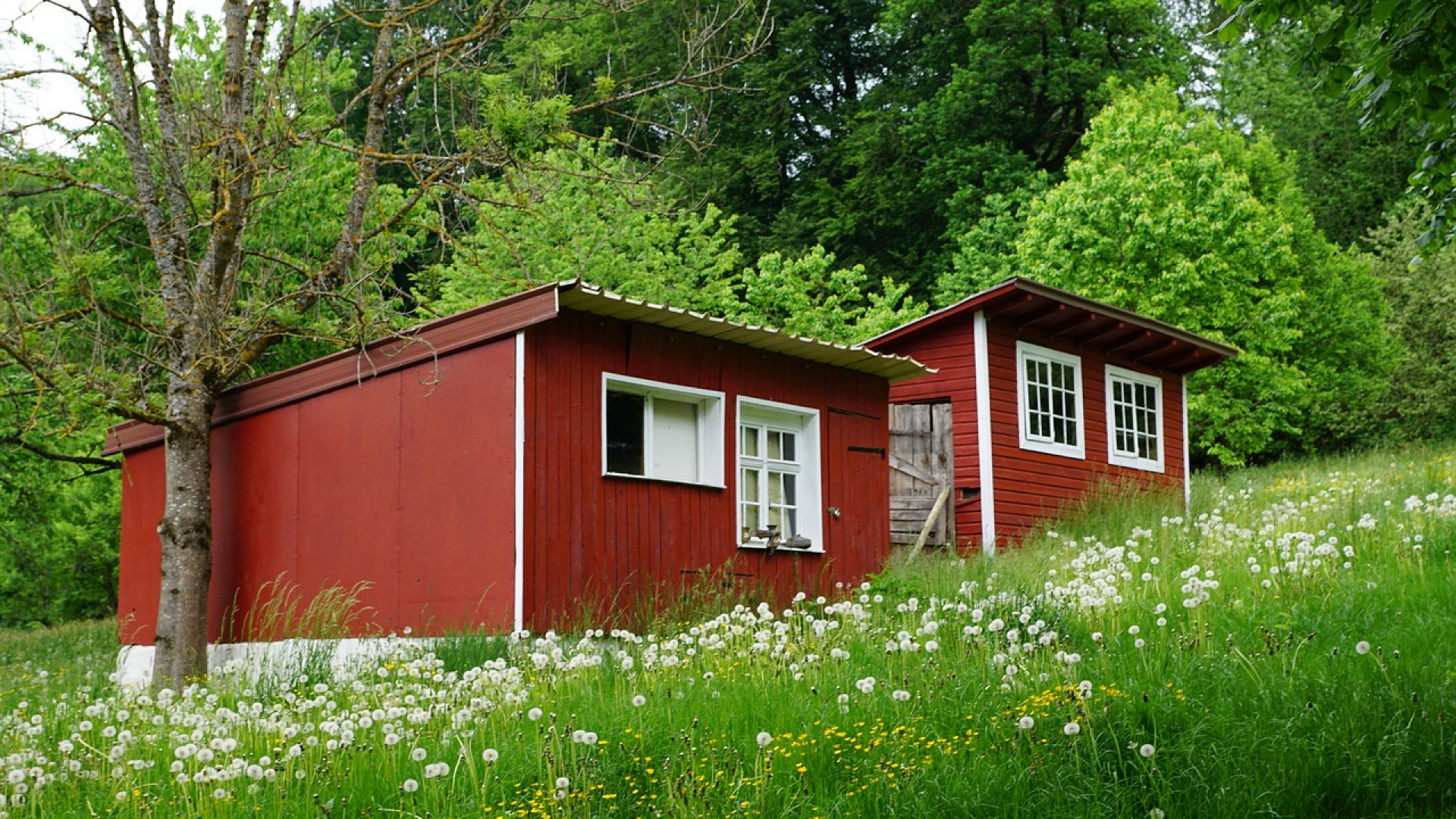 Pourquoi devenir propriétaire d’un mobil-home dans un camping ?